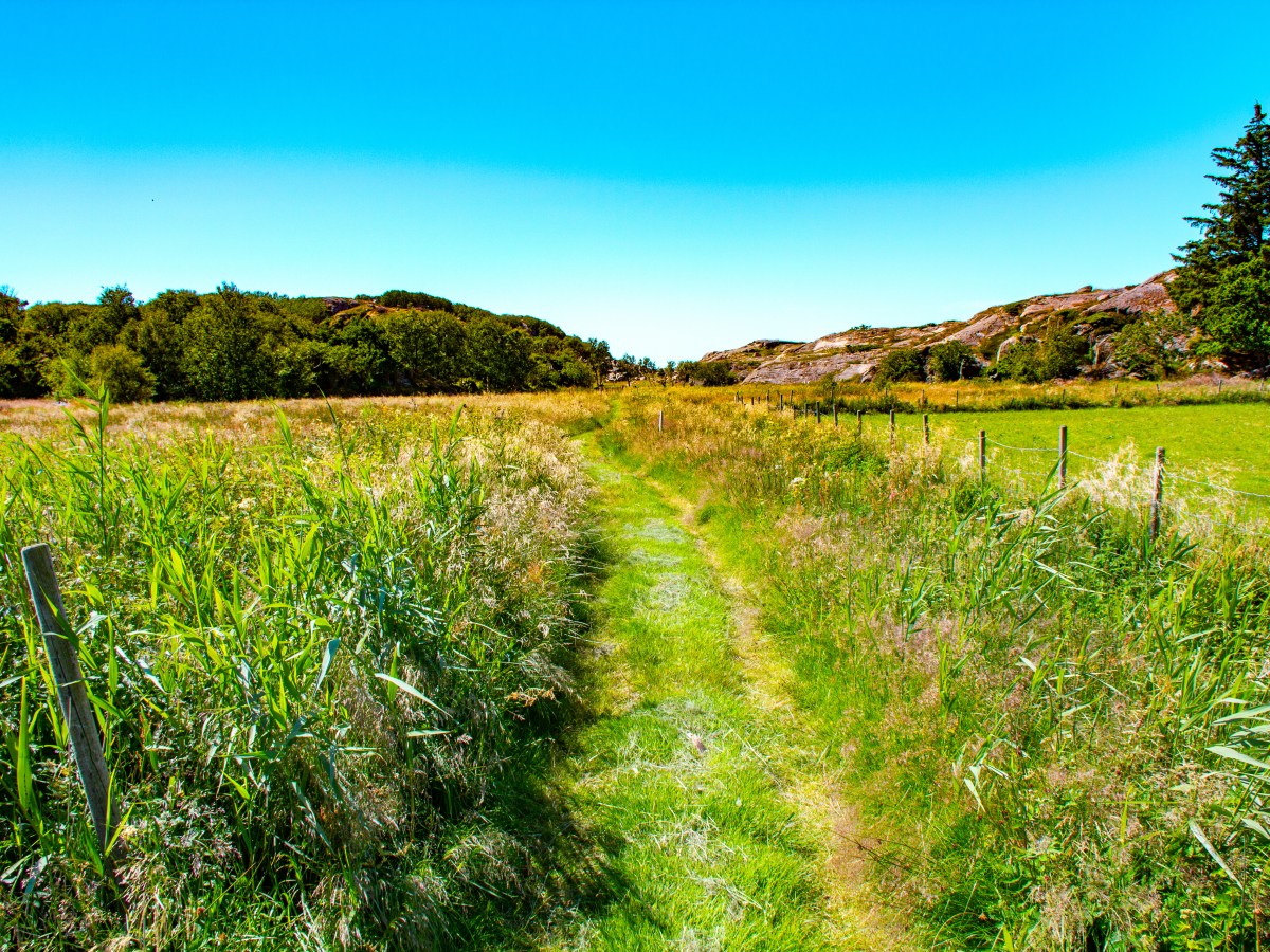 Bare en industriell revolusjon kan skape en bærekraftig&nbsp;fremtid!